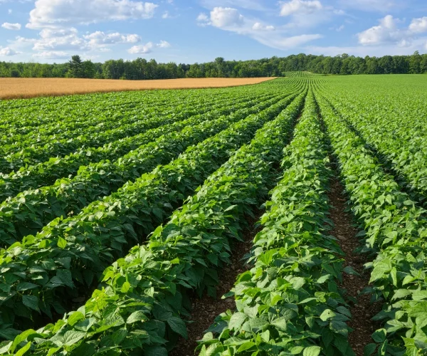 sphaira nanotecnologia (1)~2